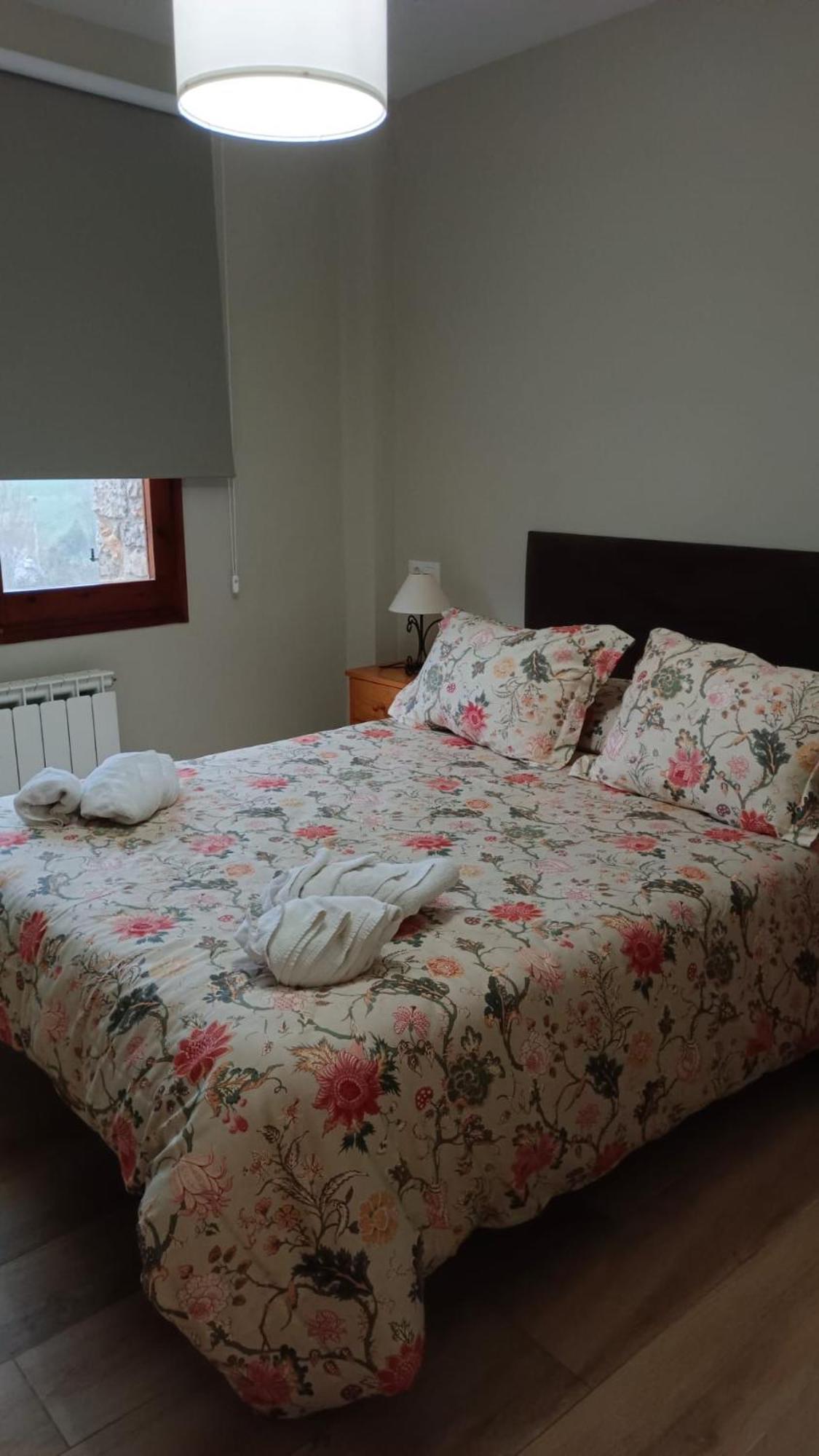 Cal Xesc Apartment Castellar De N'Hug Ngoại thất bức ảnh